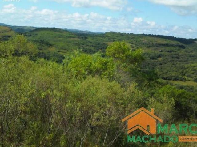 Sítio e chácara venda em Região Geográfica Imediata de São Gabriel - Caçapava do Sul, Cacapava do Sul