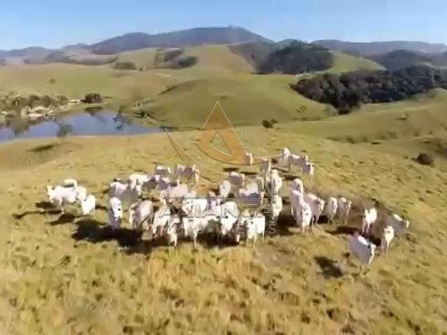 Fazenda venda em Caçapava, Região Geográfica Intermediária de São José dos Campos