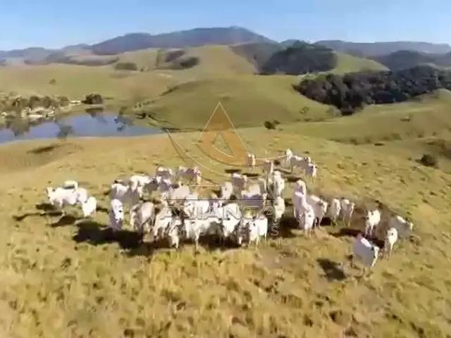 Fazenda venda em Região Imediata de São José dos Campos, Região Metropolitana do Vale do Paraíba e Litoral Norte