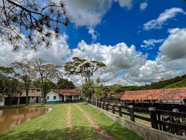 Fazenda venda em Cacapava, Santa Luzia
