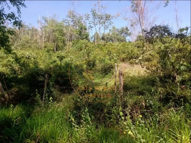 Fazenda venda em Região Imediata de São José dos Campos, Região Metropolitana do Vale do Paraíba e Litoral Norte
