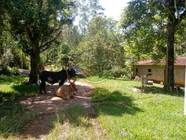 Fazenda venda em Cacapava, Santa Luzia