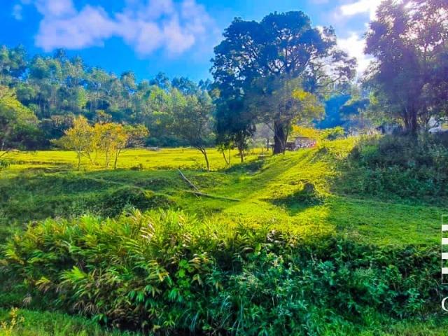 Fazenda venda em Caçapava, Região Geográfica Intermediária de São José dos Campos
