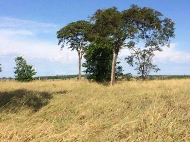 Fazenda venda em Abaré, Região Nordeste