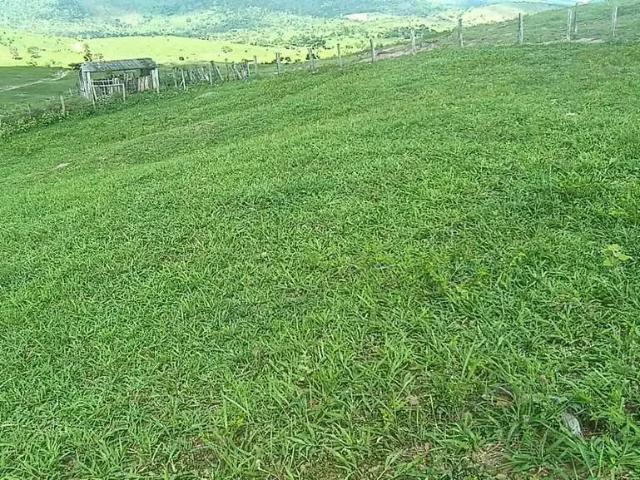 Fazenda venda em Região Geográfica Imediata de Vitória da Conquista, Caatiba