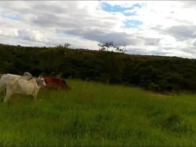 Fazenda venda em Região Geográfica Imediata de Unaí, Região Integrada de Desenvolvimento do Distrito Federal e Entorno