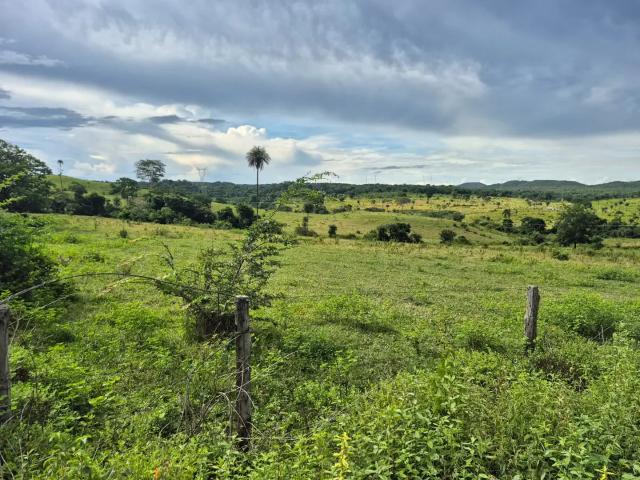 Fazenda venda em Região Geográfica Imediata de Águas Lindas de Goiás, Região Integrada de Desenvolvimento do Distrito Federal e Entorno