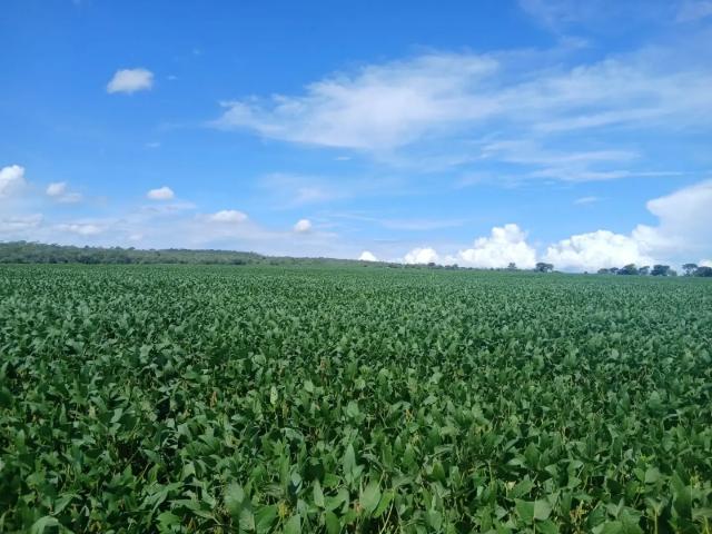 Fazenda venda em Região Geográfica Imediata de Águas Lindas de Goiás, Região Integrada de Desenvolvimento do Distrito Federal e Entorno