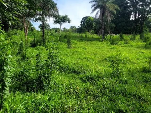 Fazenda venda em Região Geográfica Imediata de Águas Lindas de Goiás, Região Integrada de Desenvolvimento do Distrito Federal e Entorno