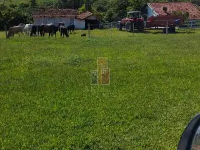 Fazenda venda em Região Imediata de Bauru, Cabralia Paulista