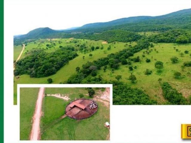 Sítio e chácara venda em Região Geográfica Imediata de Cáceres, Antônio João