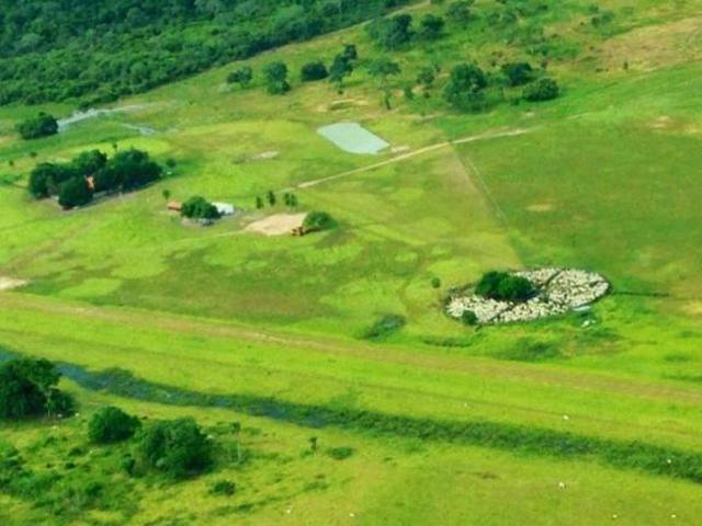 Sítio e chácara venda em Região Geográfica Imediata de Cáceres, Antônio João