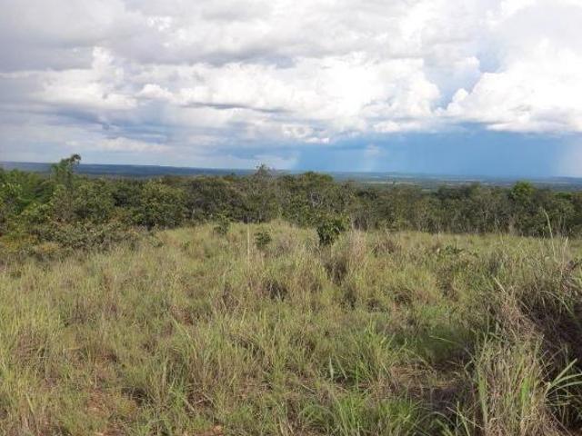 Sítio e chácara venda em Região Geográfica Imediata de Cáceres, Antônio João