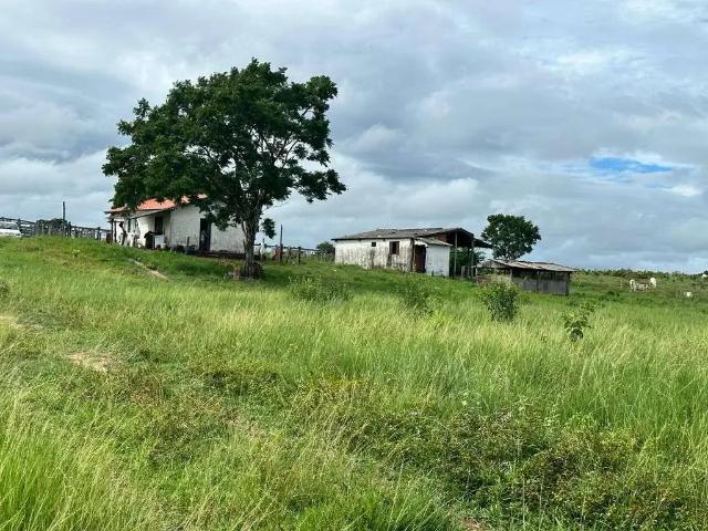 Fazenda venda em Região Geográfica Imediata de Cáceres, Antônio João