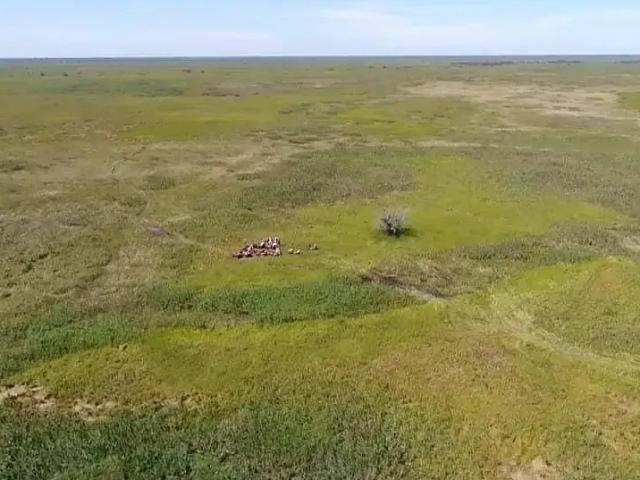 Fazenda venda em Região Geográfica Imediata de Cáceres, Antônio João
