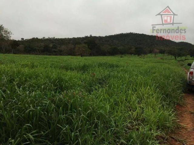 Fazenda venda em Região Geográfica Imediata de Cáceres, Antônio João