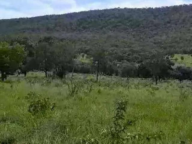 Fazenda venda em Região Geográfica Imediata de Cáceres, Antônio João
