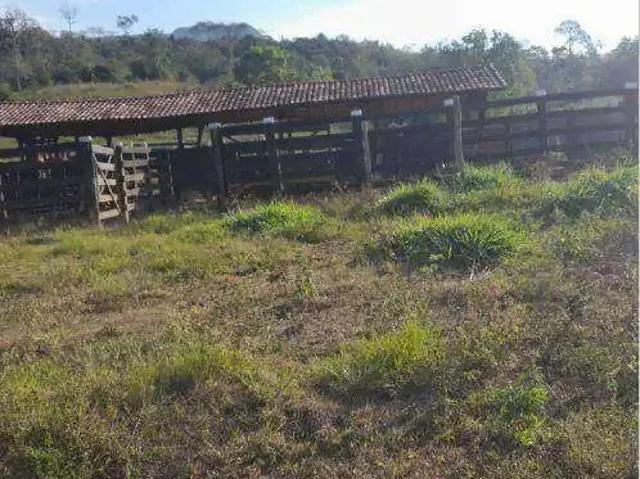Fazenda venda em Região Geográfica Imediata de Cáceres, Antônio João