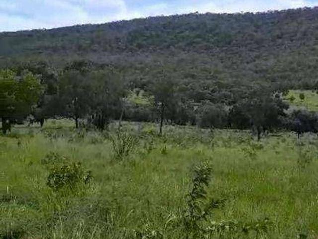 Fazenda venda em Carrapatinho, Cáceres