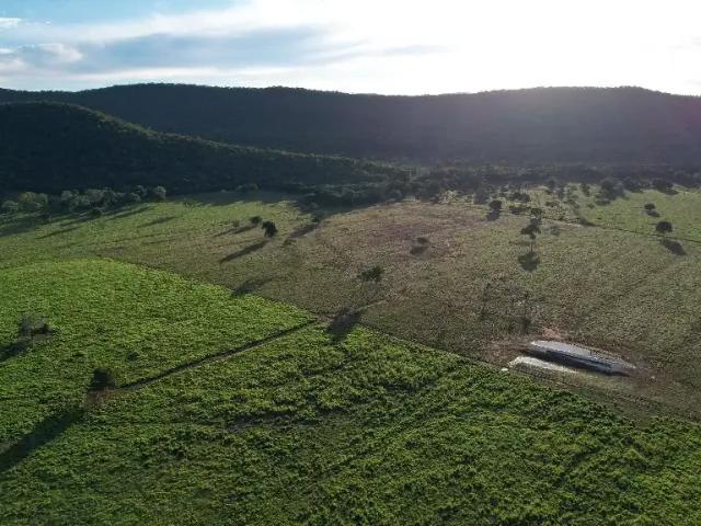 Fazenda venda em Região Geográfica Imediata de Cáceres, Antônio João