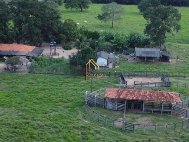 Fazenda venda em Região Geográfica Imediata de Cáceres, Antônio João