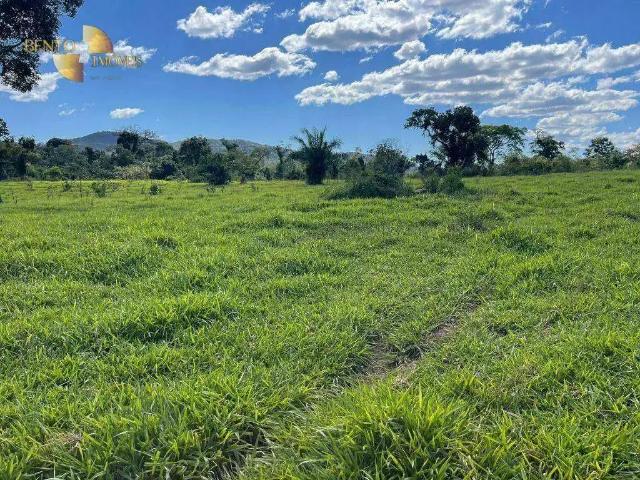 Fazenda venda em Região Geográfica Imediata de Cáceres, Antônio João