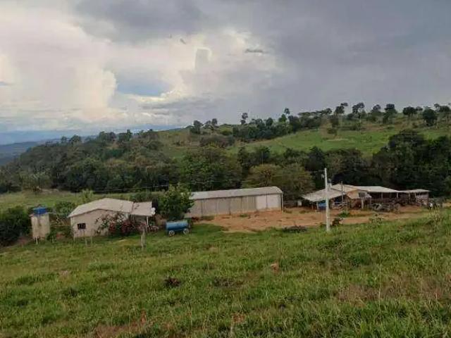 Fazenda venda em Região Geográfica Imediata de Cáceres, Antônio João