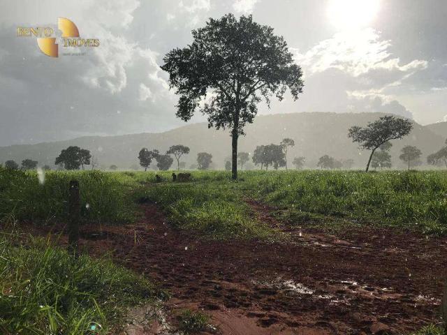 Fazenda venda em Carrapatinho, Cáceres