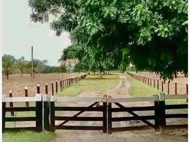 Fazenda venda em Região Geográfica Imediata de Cáceres, Antônio João