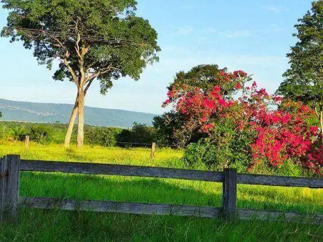 Fazenda venda em Região Geográfica Imediata de Cáceres, Antônio João