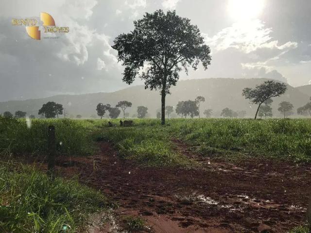 Fazenda venda em Região Geográfica Imediata de Cáceres, Antônio João
