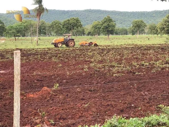 Fazenda venda em Região Geográfica Imediata de Cáceres, Antônio João