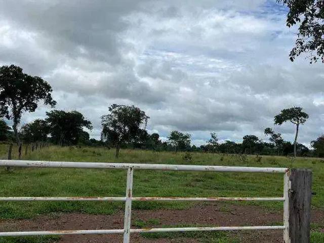 Fazenda venda em Região Geográfica Imediata de Cáceres, Antônio João