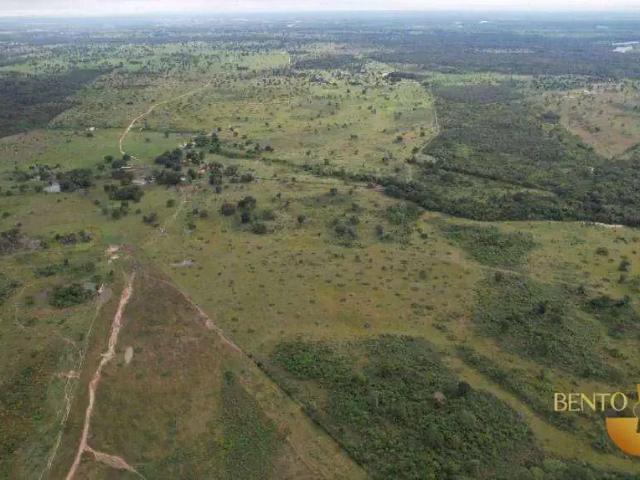 Fazenda venda em Região Geográfica Imediata de Cáceres, Antônio João