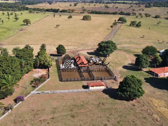 Fazenda venda em Cachoeira Alta, Região Geográfica Intermediária de Rio Verde