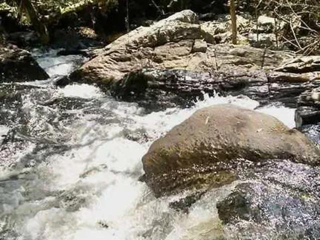 Fazenda venda em Região Imediata de Cruzeiro, Região Metropolitana do Vale do Paraíba e Litoral Norte