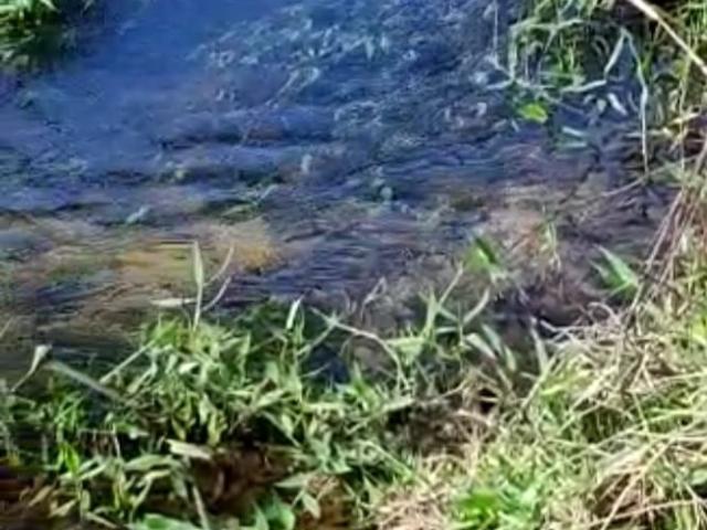 Fazenda venda em Região Imediata de Cruzeiro, Região Metropolitana do Vale do Paraíba e Litoral Norte