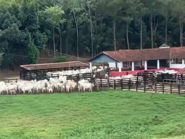 Fazenda venda em Região Imediata de São Paulo, Região Metropolitana de São Paulo