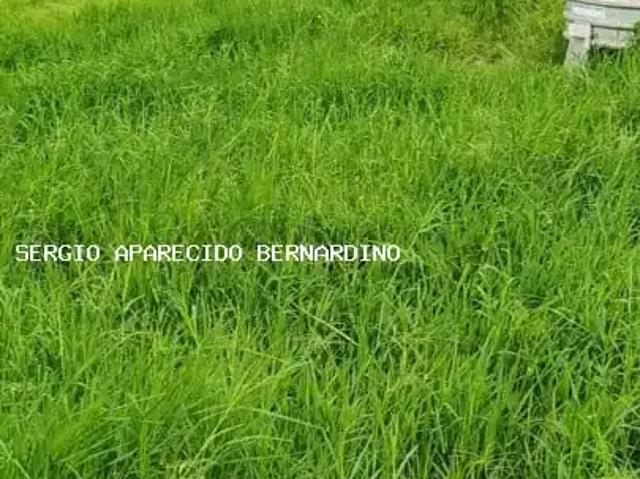Fazenda venda em Região Imediata de Cruzeiro, Região Metropolitana do Vale do Paraíba e Litoral Norte
