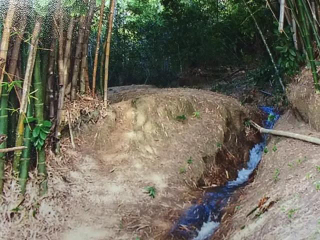 Fazenda venda em Cachoeira, Região Nordeste