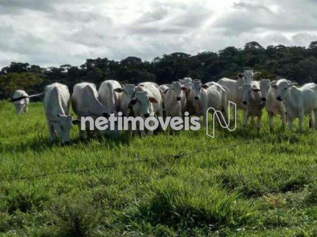 Fazenda venda em Santiago do Iguape, Cachoeira