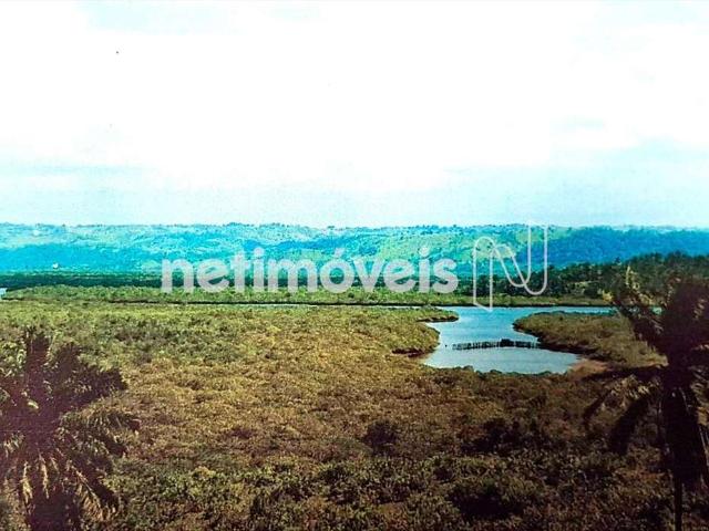 Fazenda venda em Santiago do Iguape, Cachoeira