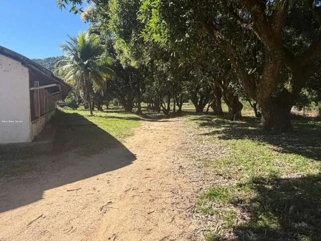 Fazenda venda em Região Geográfica Imediata de Rio Bonito, Região Metropolitana do Rio de Janeiro