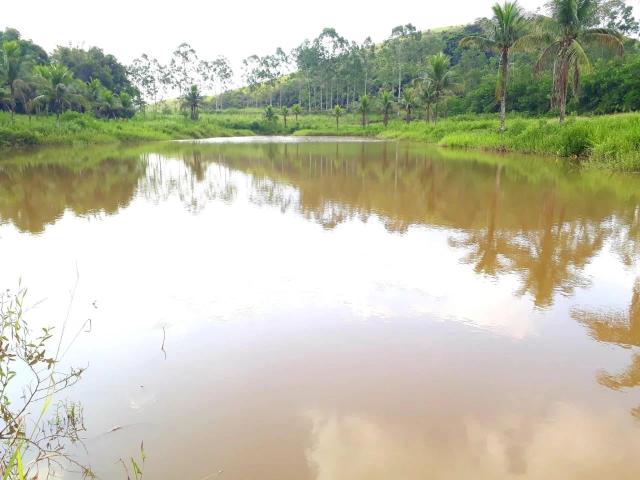 Fazenda venda em Cachoeiras de Macacu, Região Geográfica Intermediária do Rio de Janeiro