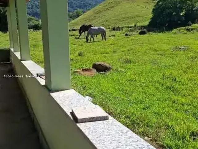 Fazenda venda em Região Geográfica Imediata de Rio Bonito, Região Metropolitana do Rio de Janeiro