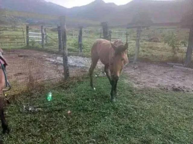 Fazenda venda em Região Geográfica Imediata de Rio Bonito, Região Metropolitana do Rio de Janeiro