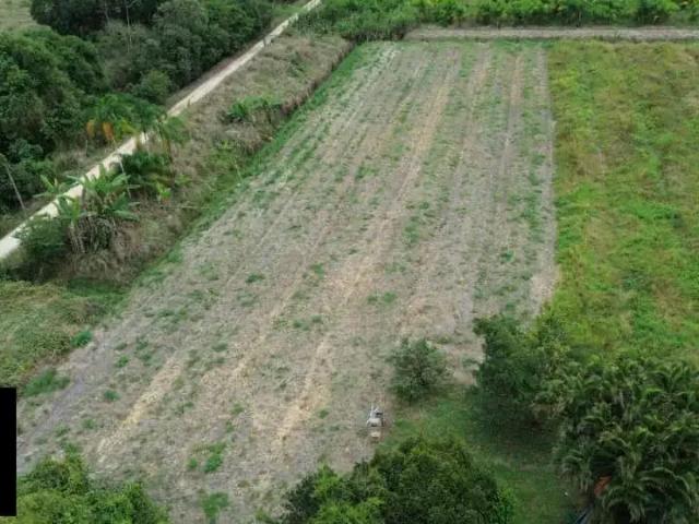 Fazenda venda em Região Geográfica Imediata de Rio Bonito, Região Metropolitana do Rio de Janeiro