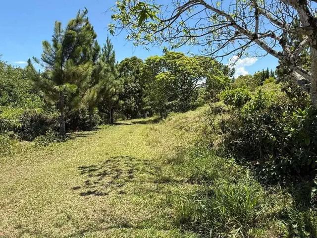 Fazenda venda em Região Geográfica Imediata de Rio Bonito, Região Metropolitana do Rio de Janeiro