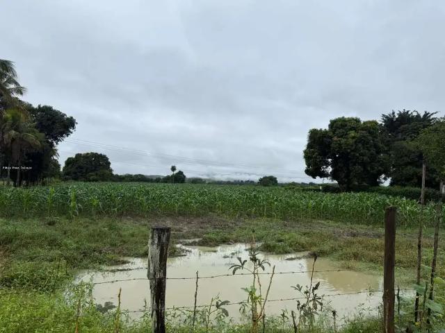 Fazenda venda em Região Geográfica Imediata de Rio Bonito, Região Metropolitana do Rio de Janeiro