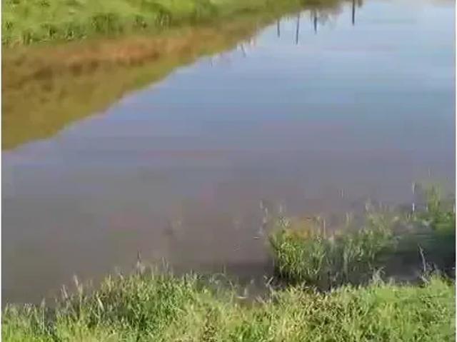 Fazenda venda em Região Geográfica Imediata de Cachoeiro de Itapemirim, Cachoeiro de Itapemirim